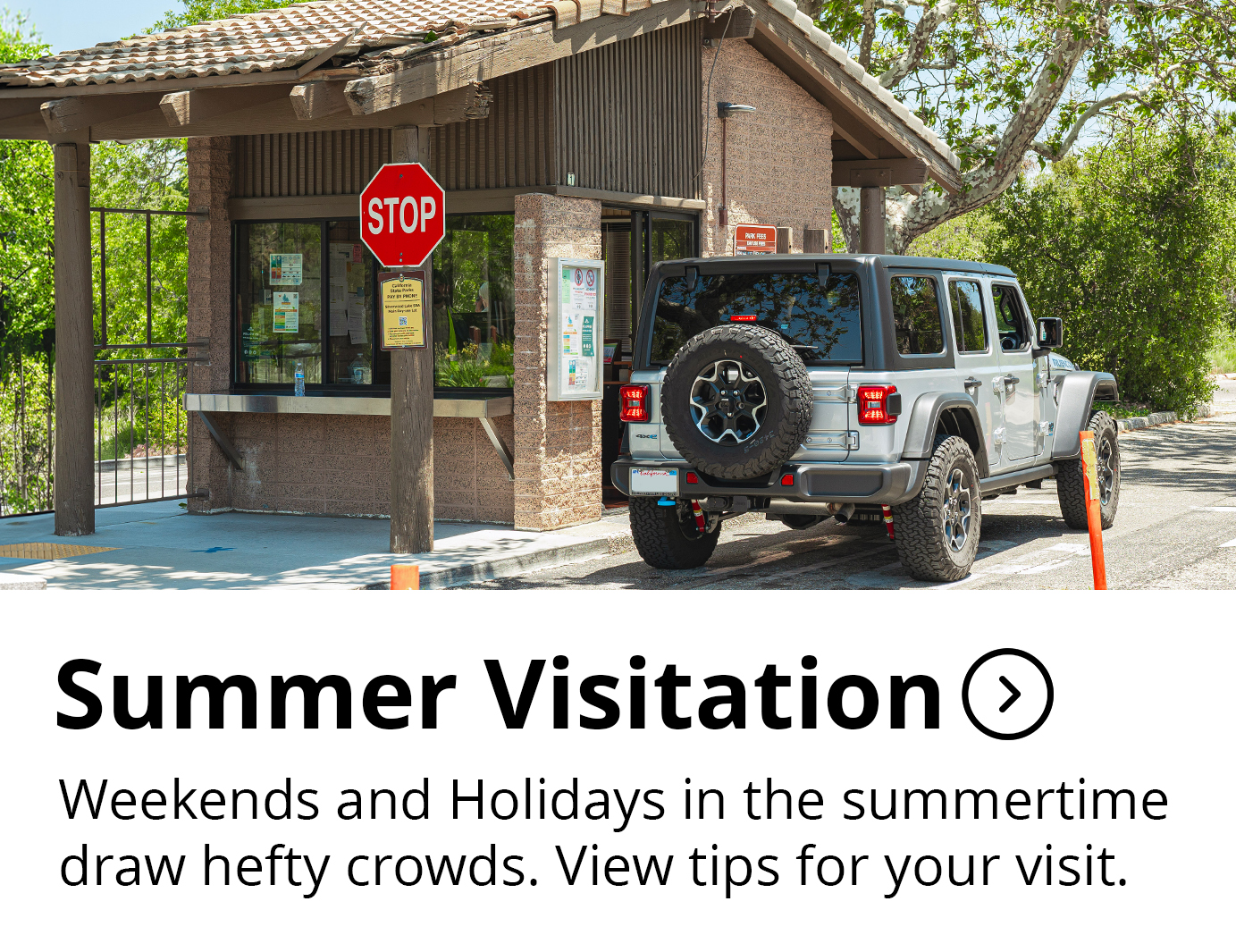 Summer Visitation